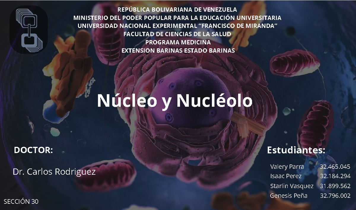 Núcleo y Nucléolo: Estructura y Función Celular - Medicina 30 - Studocu