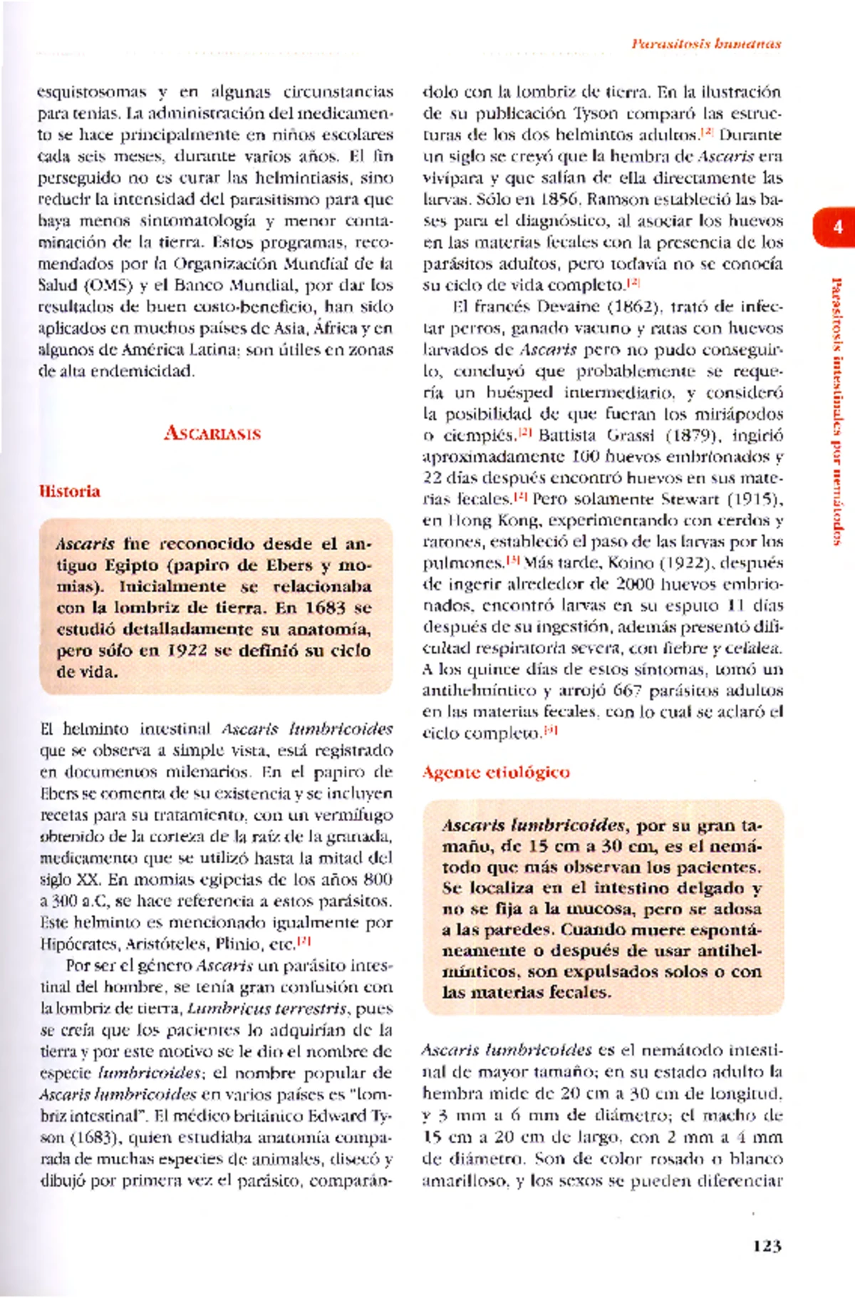 Ascariasis y el Ciclo Biológico del Gusano _Ascaris lumbricoides_ (CAP. 27)  - Studocu, image size:1200x1821