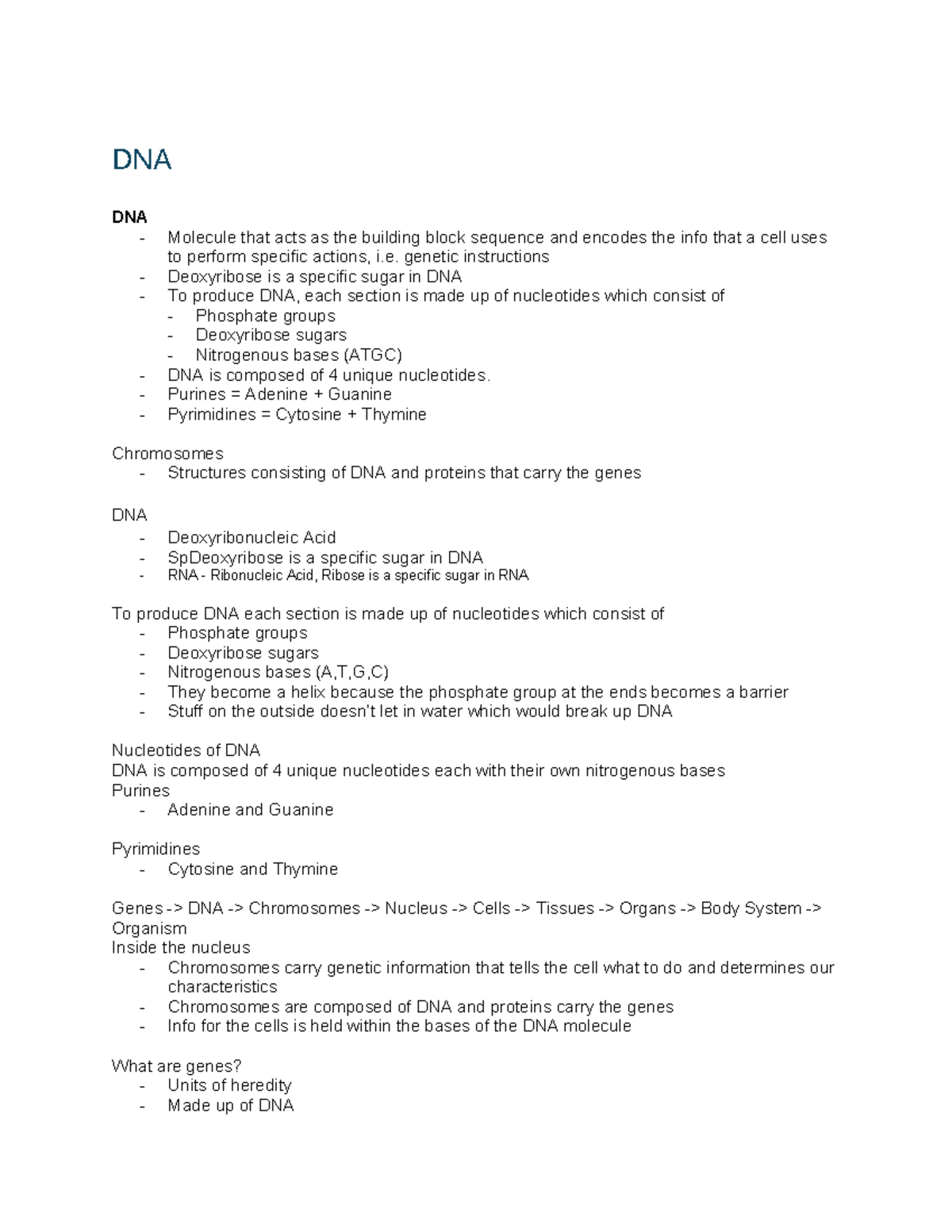 Bio Revision - Year 10 - DNA Structure and Replication Notes - Studocu