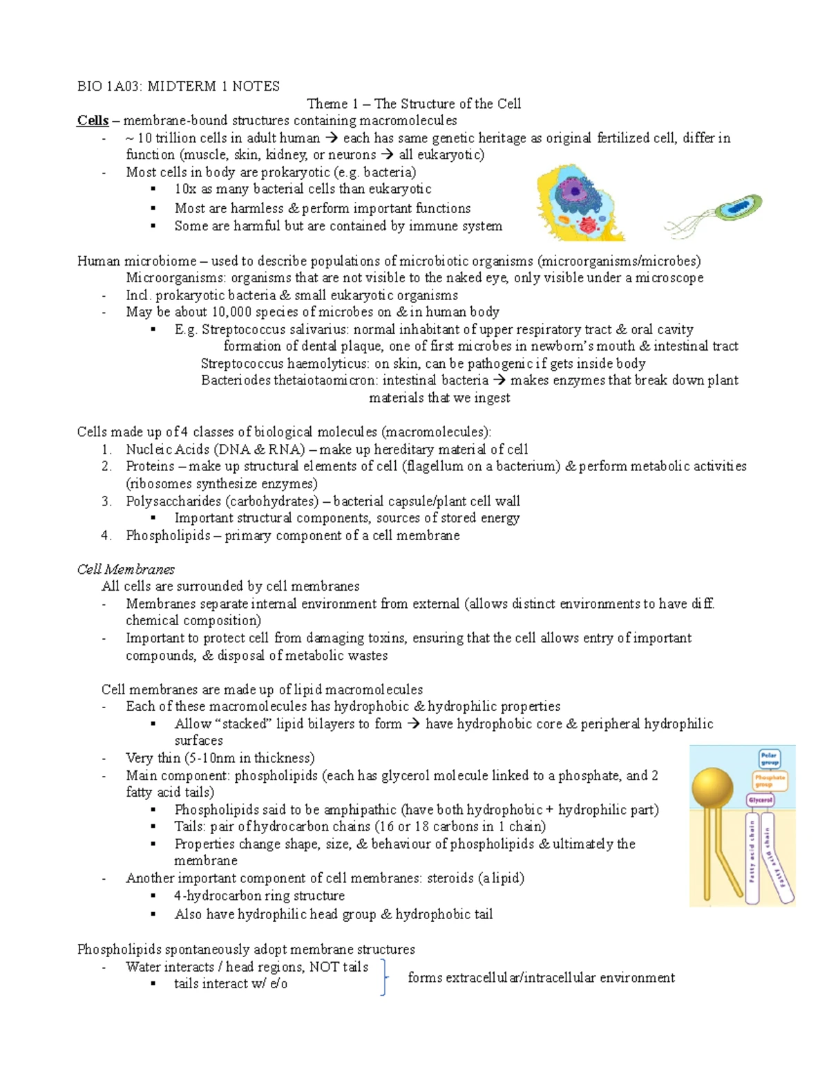BIO 1A03 Test 3 Outline - bio notes - Theme 4 Module 1 The Cell Cycle ...