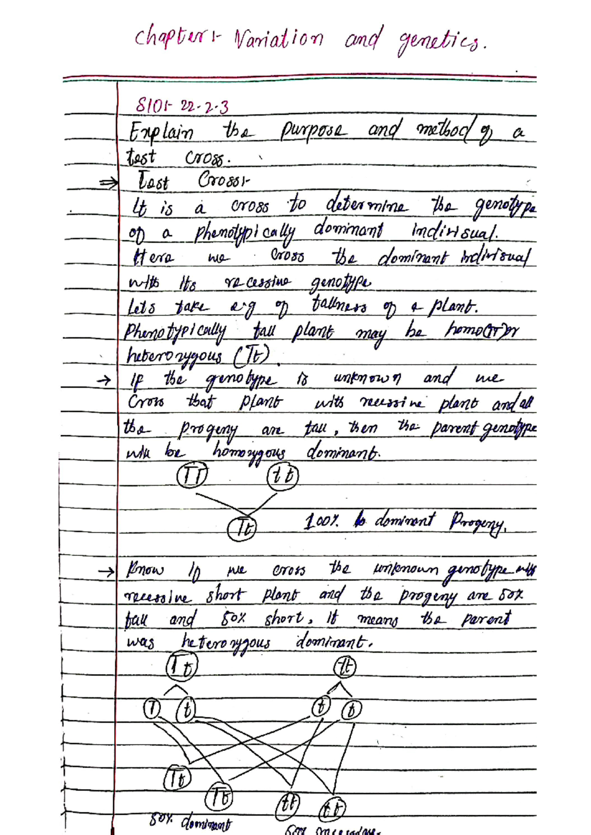 Variations and genetics notes class 12 biology - Variation and genetics ...