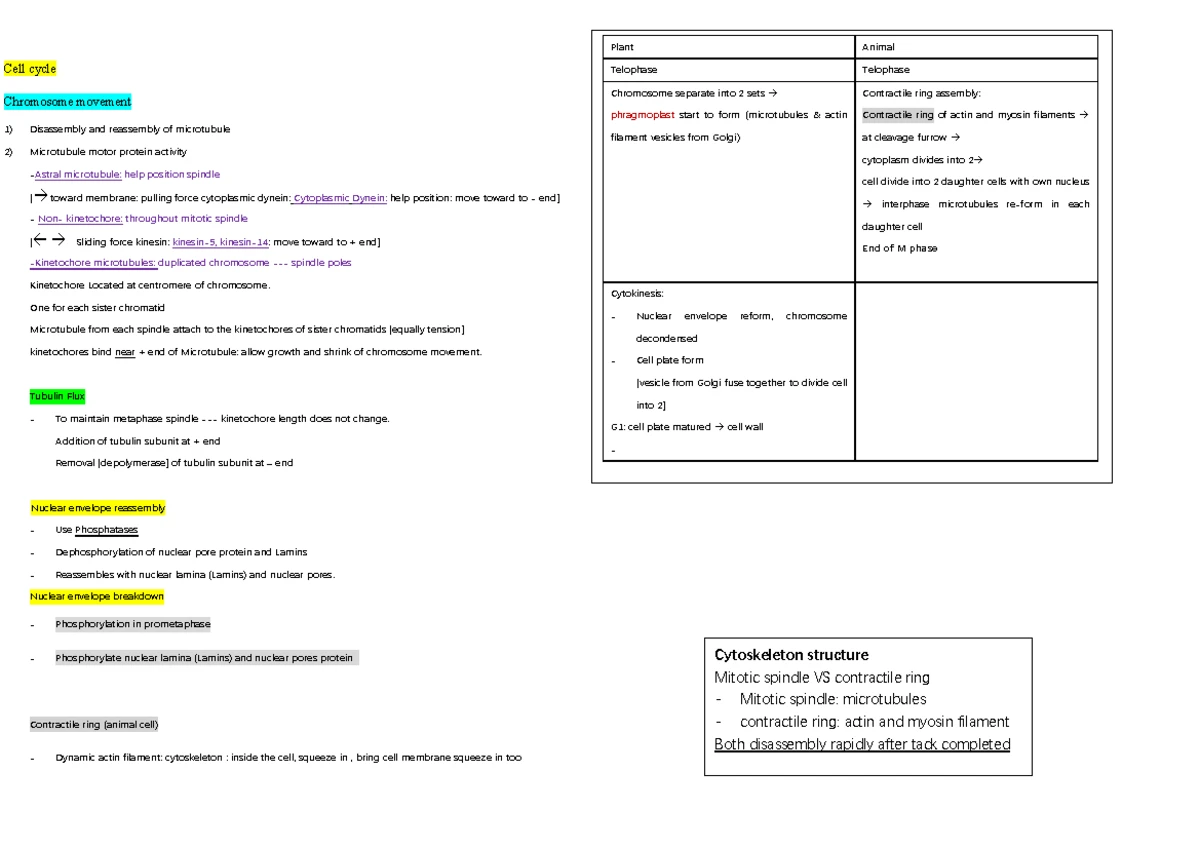 Bio 230 Lab 5: Flowchart for Embryo Observation and Dissection Process ...