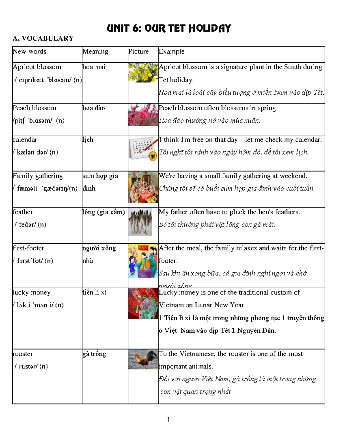 Unit 6: Vocabulary and Grammar Exercises for English 6 (HS) - Studocu