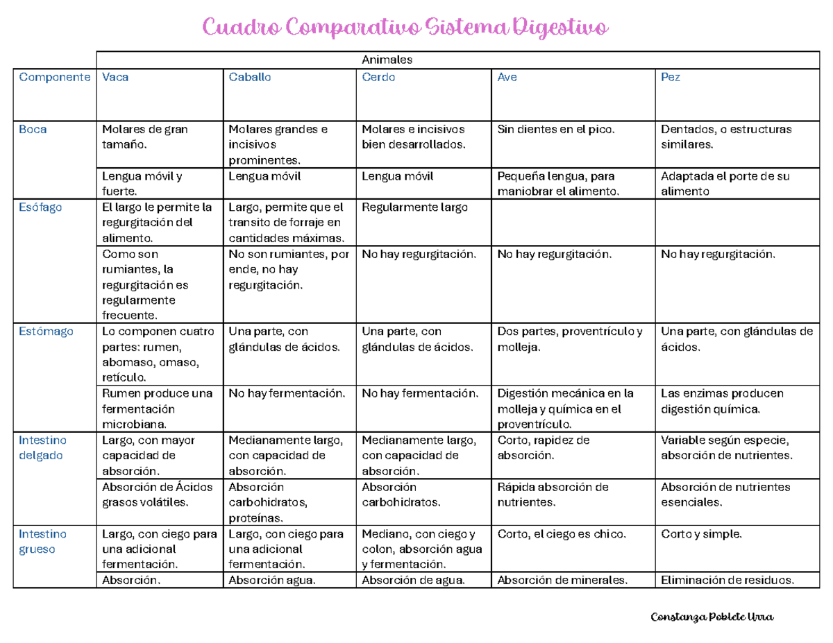 Cuadro Comparativo Del Aparato Digestivo De Los Animales