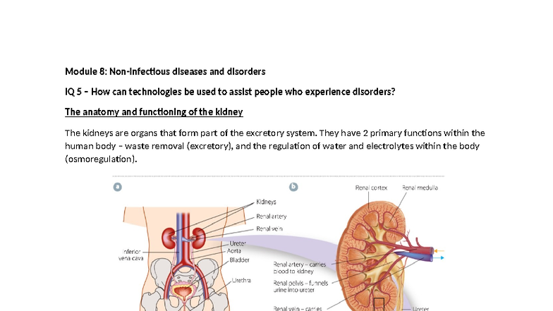 Module 8: IQ 5 Kidney Functions and Disorders Overview - Studocu
