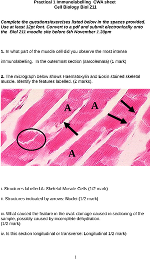 AQA AS Level Biology Revision Notes QAs New Spec - AQA AS & A-Level ...