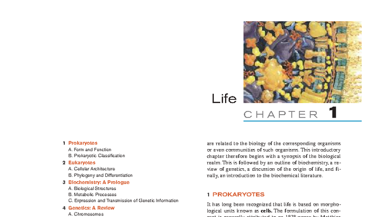 Biology 101: Chapter 1 - Prokaryotes and Eukaryotes Overview - Studocu