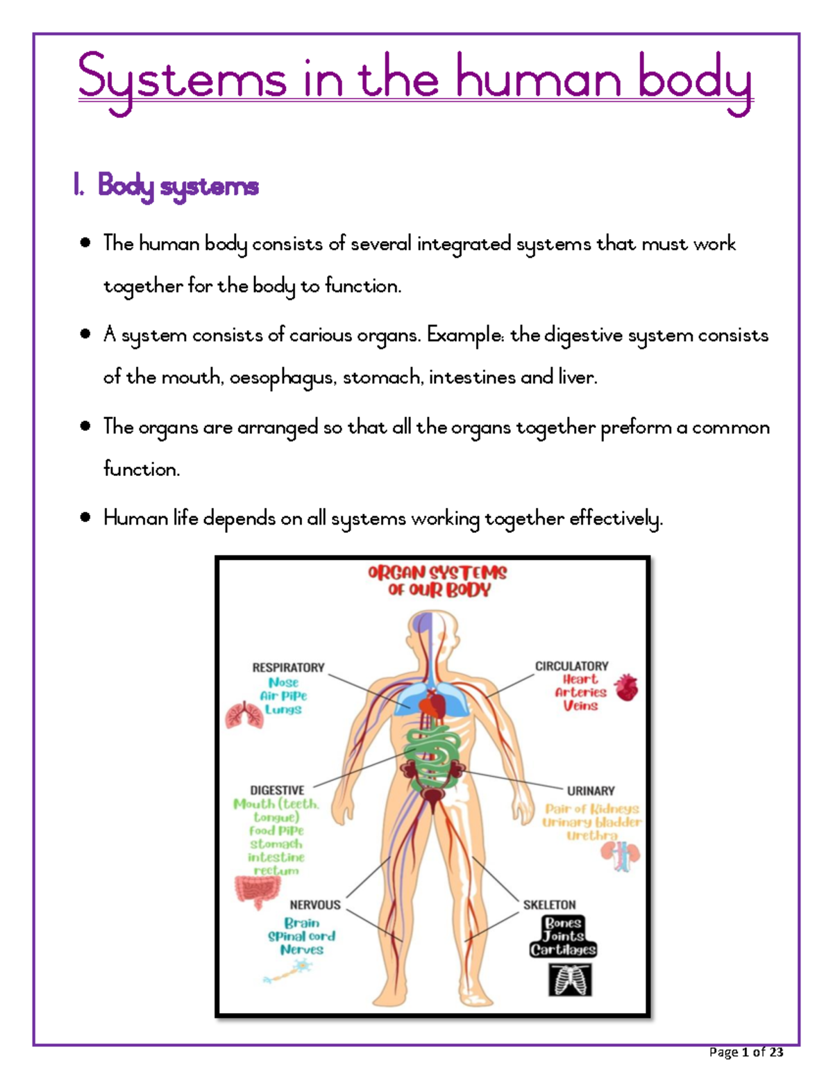 4. Human Body Systems Overview: Structure, Functions & Health Issues ...