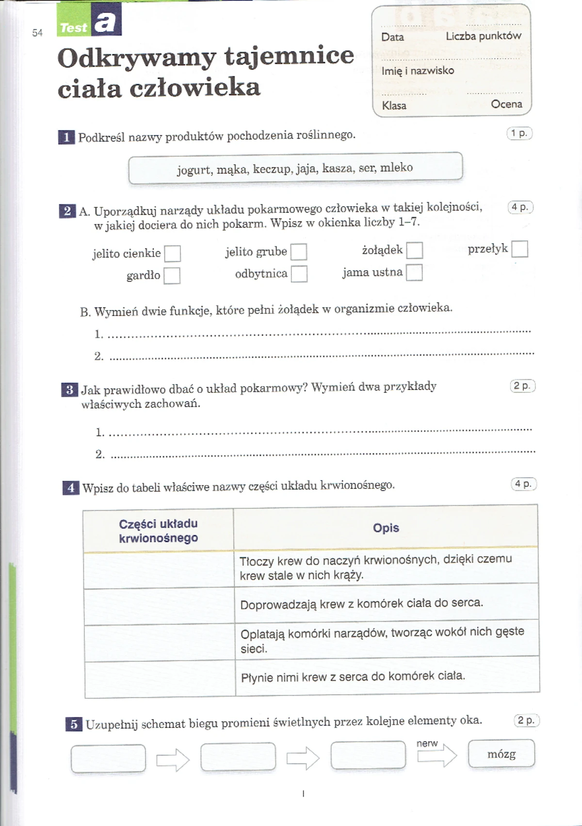Sprawdzian Z Tajemnice Przyrody Klasa 5 Dział 5