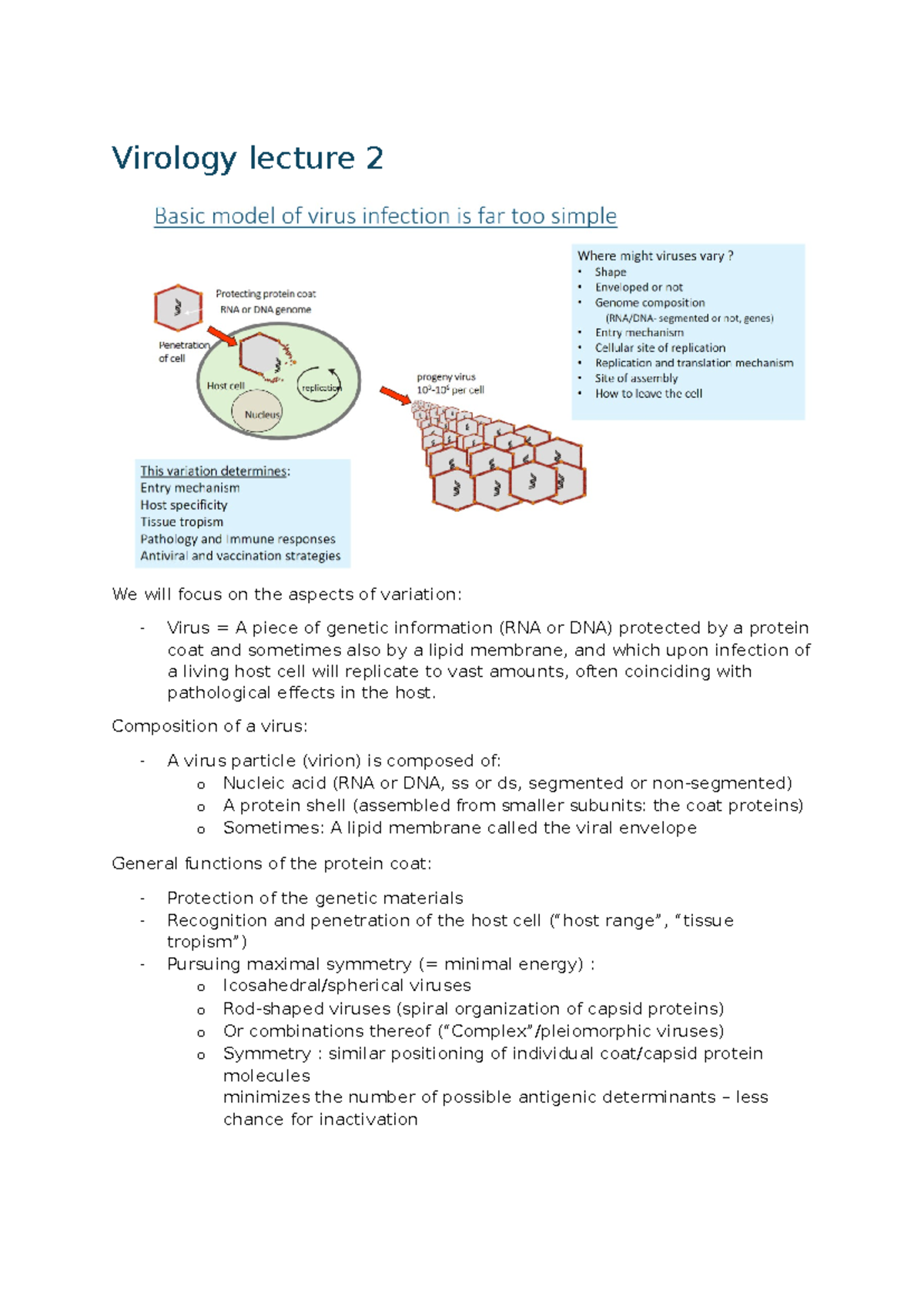 Virologie Lecture 2: Virus Composition and Replication Mechanisms ...
