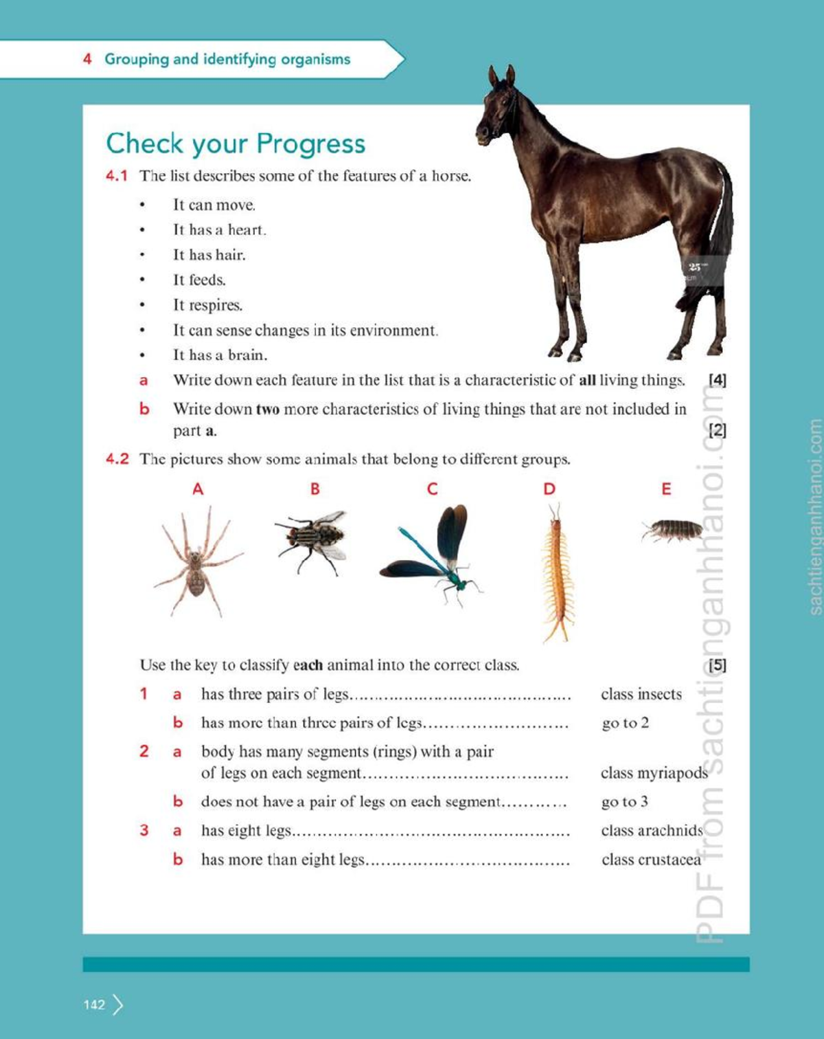 Unit 4 - Grouping and Identifying Organisms: Check Your Progress - Studocu