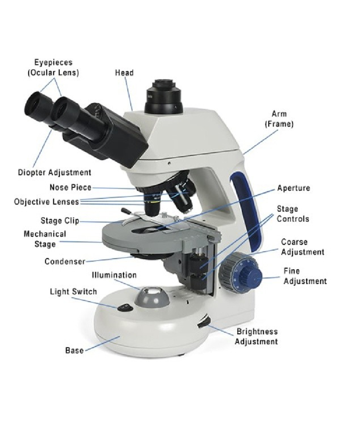 Microscope-Labeled (1) 2 - NURS225 - Eyepieces (Ocular Lens) Head Arm ...
