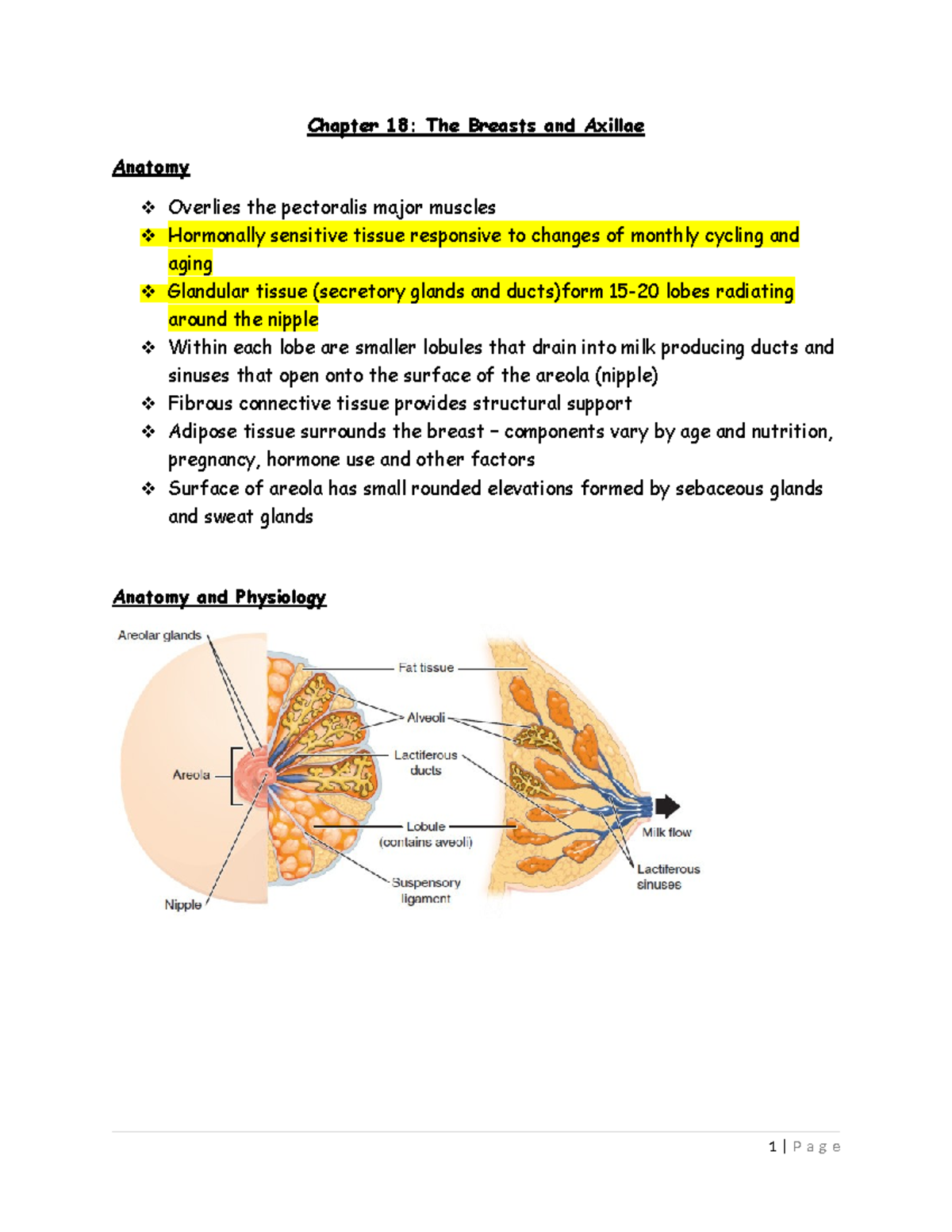Health Assessment Study Guide: Chapter 18 - Breast and Axillae Anatomy ...