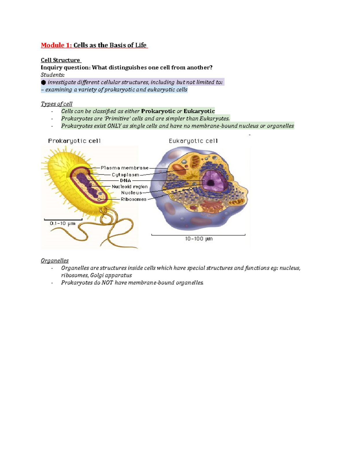 Biology 101: Module 1 - Cells as the Basis of Life Overview - Studocu