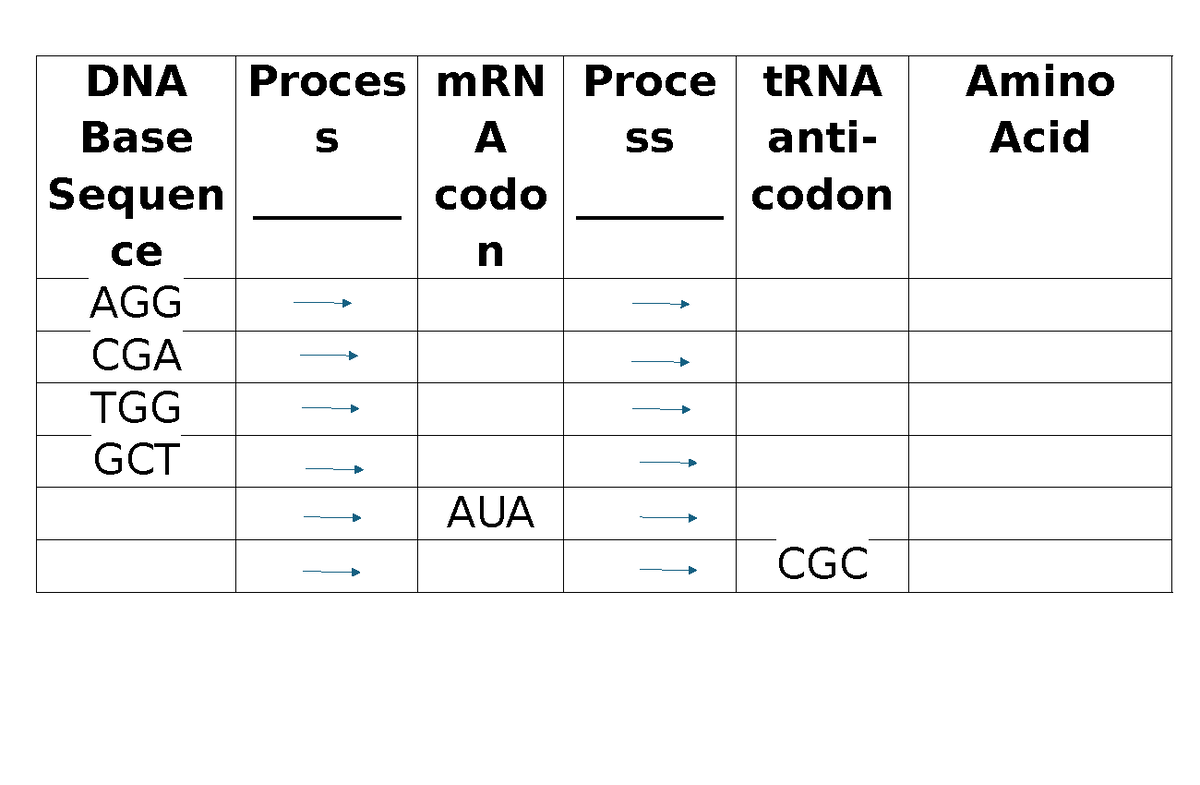 DNA Base Sequence Activity - earth and science - DNA Base Sequen ce ...
