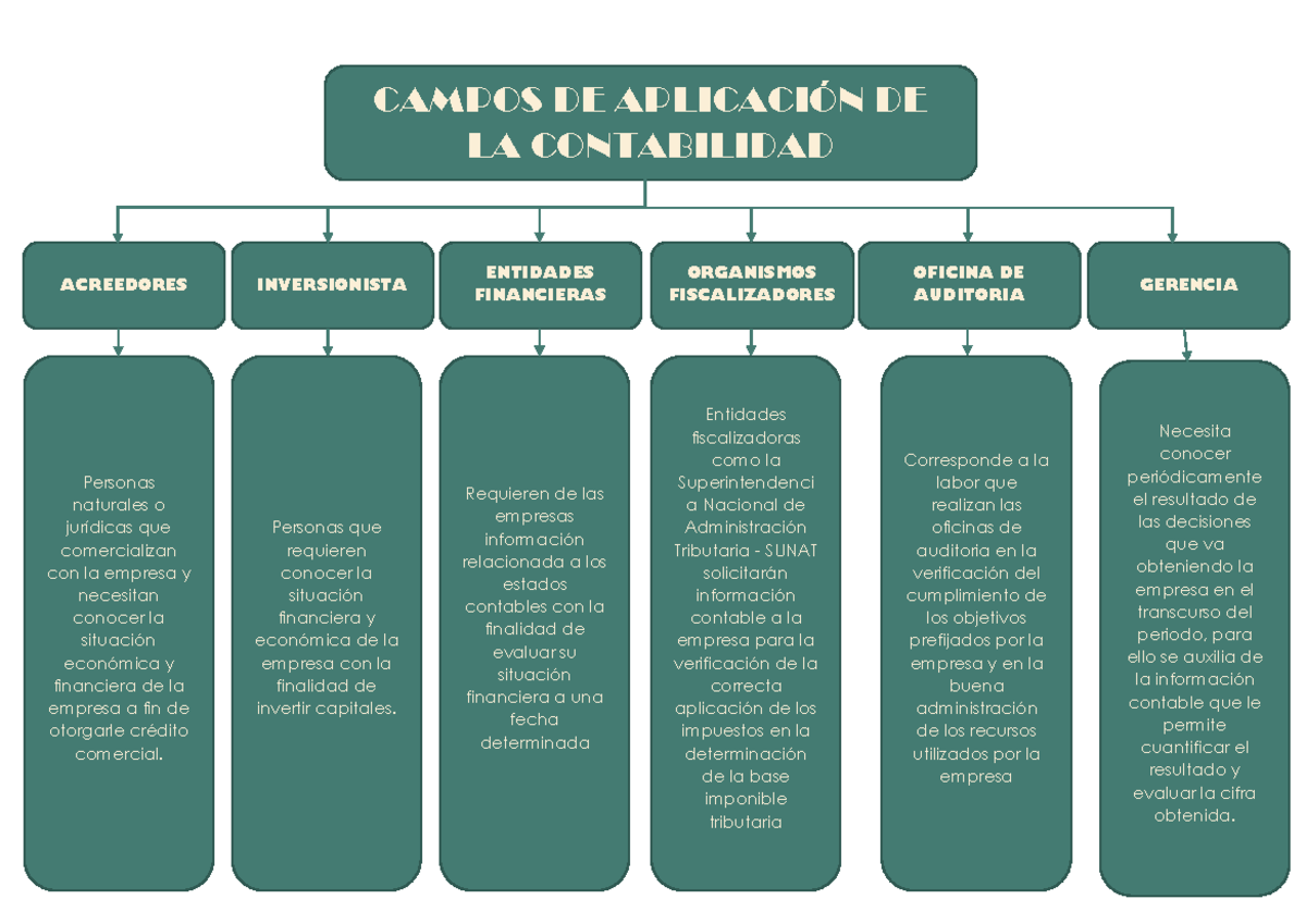 Campos DE Aplicación DE LA Contabilidad - CAMPOS DE APLICACIÓN DE LA