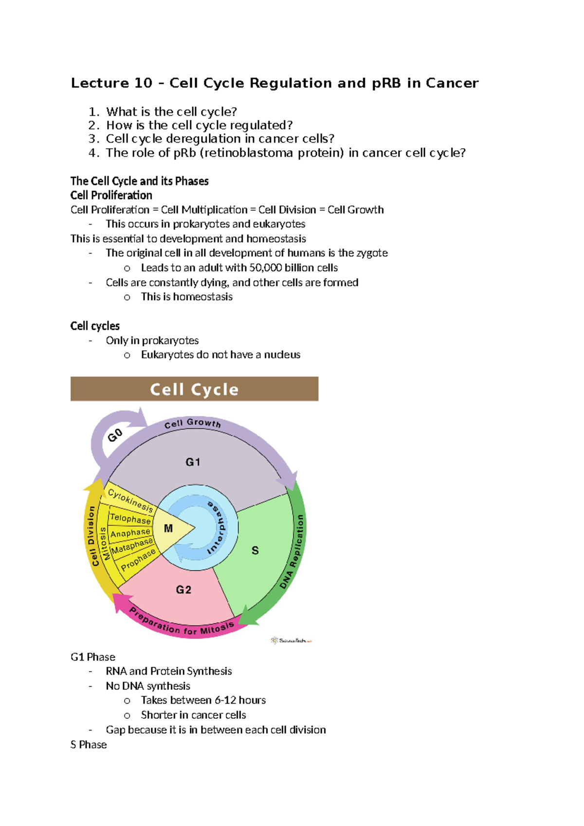 Lecture 10 - HUBS2209: Cell Cycle Regulation & pRB Role in Cancer - Studocu