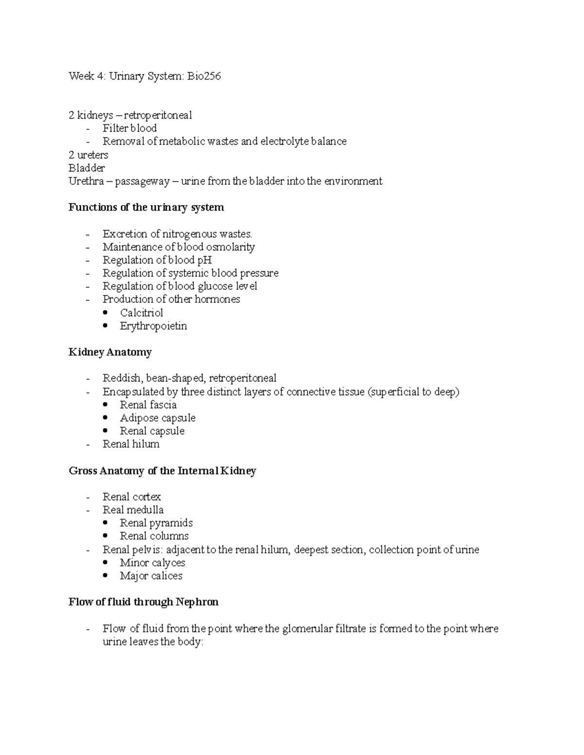 BIO 101: Week 4 Notes on Urinary System Anatomy and Physiology - Studocu