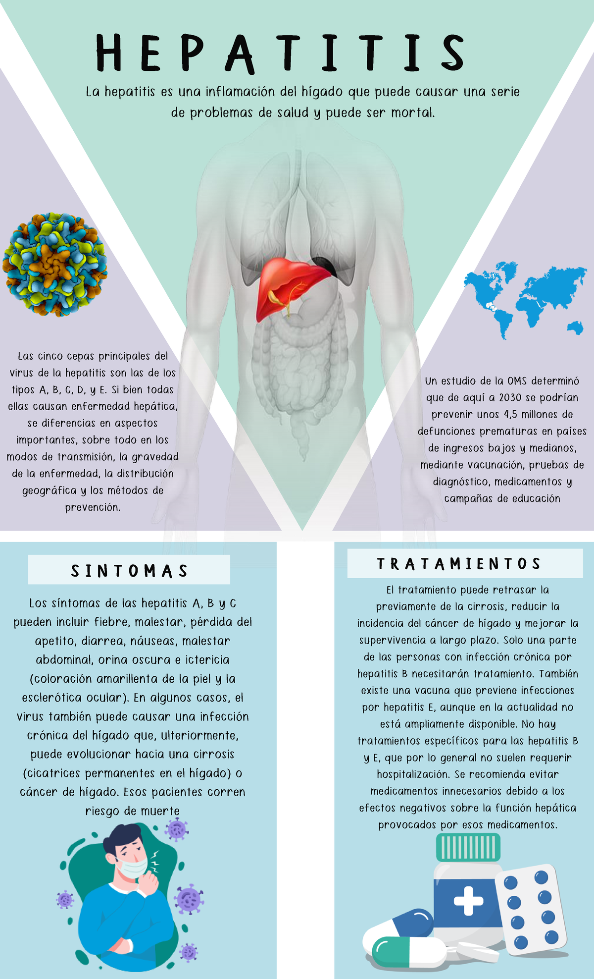Infografía sobre Hepatitis: Tipos, Síntomas y Tratamientos - Studocu, image size:1200x1976