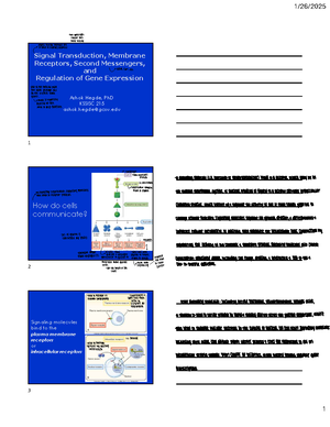 Comprehensive Overview of Ion Channels & Membrane Potentials (BIO 201 ...