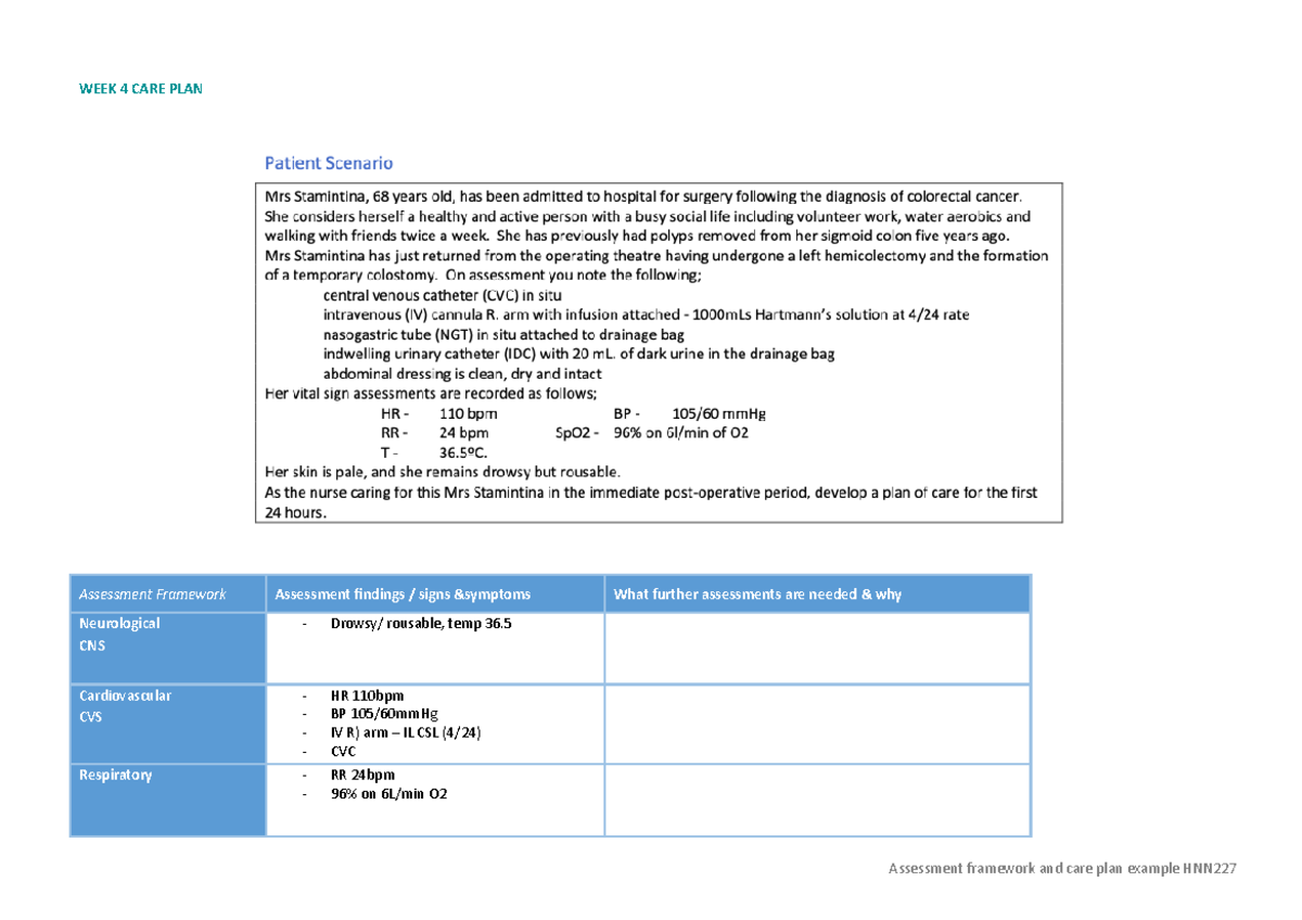 HNN227 Week 4 Care Plan: Comprehensive Patient Assessment ...