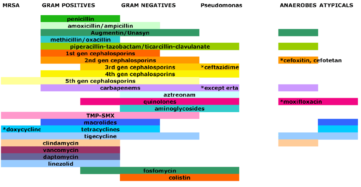 Antibiotic Chart - D-Pharmacy - MRSA GRAM POSITIVES GRAM NEGATIVES ...