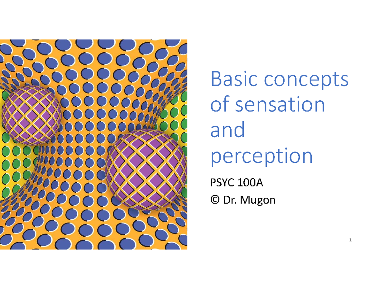 PSYC 100A: Summary of Sensation and Perception Concepts - Studocu