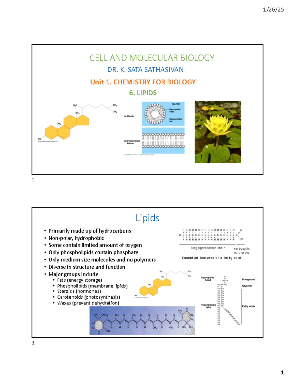 Lipids Overview and Key Concepts - Cell and Molecular Biology (F2024 ...