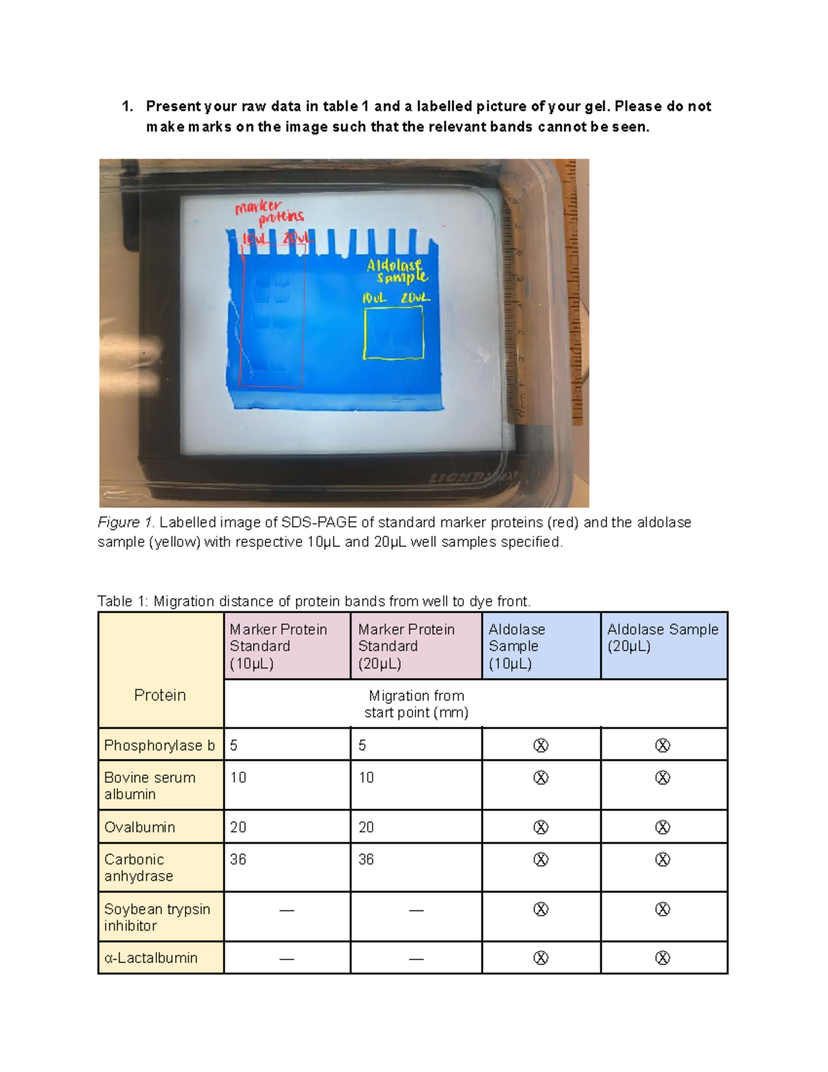 BIOL2171 Lab Report 2 - Grade: 89/100 - Present your raw data in table ...