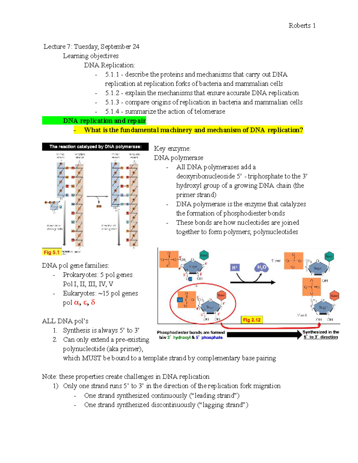 Roberts 1 Lecture 7: DNA Replication Mechanisms in Cells - Studocu