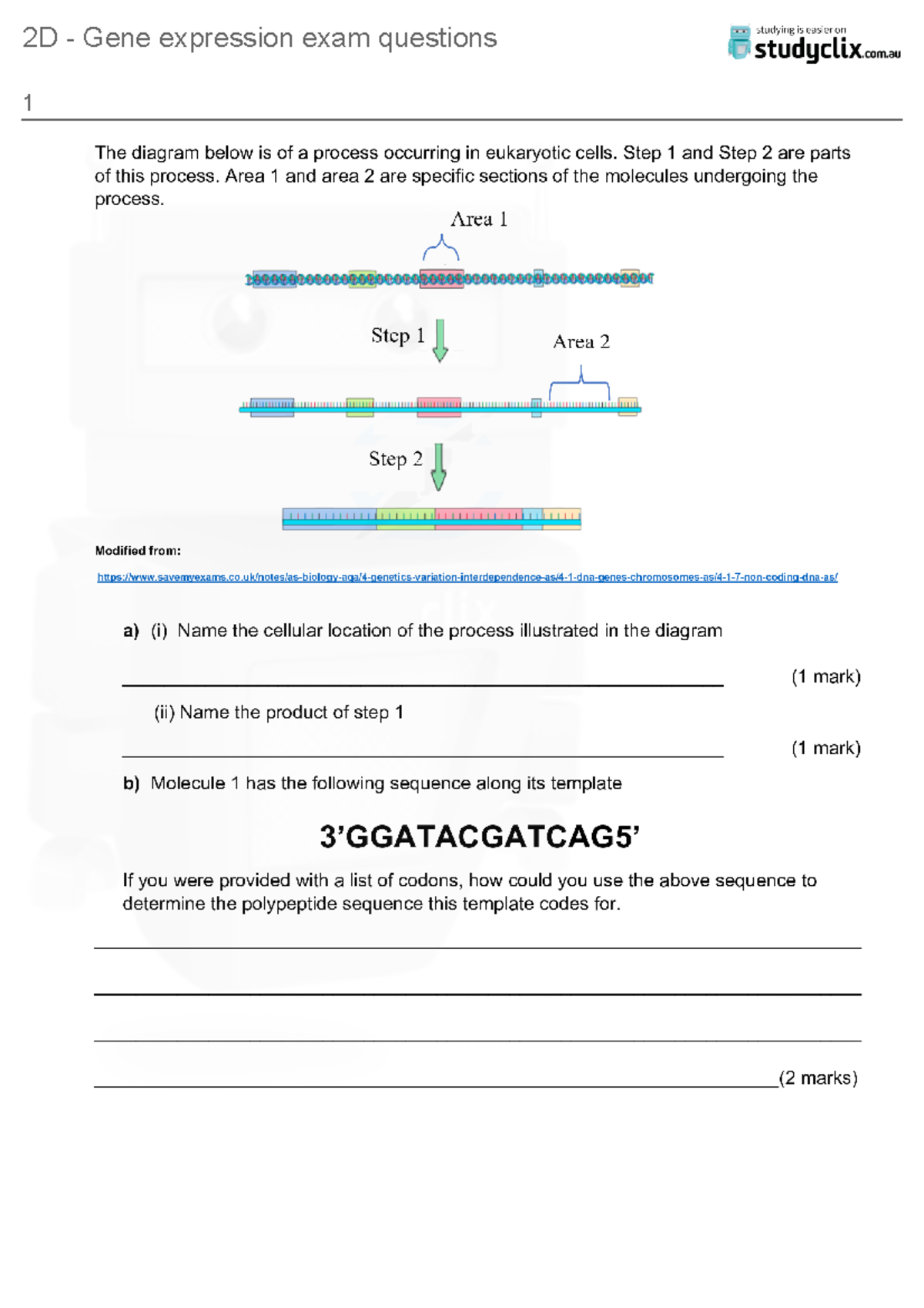 2D - gene expression exam questions - Studocu