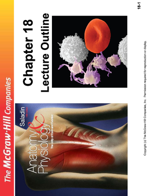 Comprehensive Guide on the Lymphatic System & Immunity Fundamentals ...