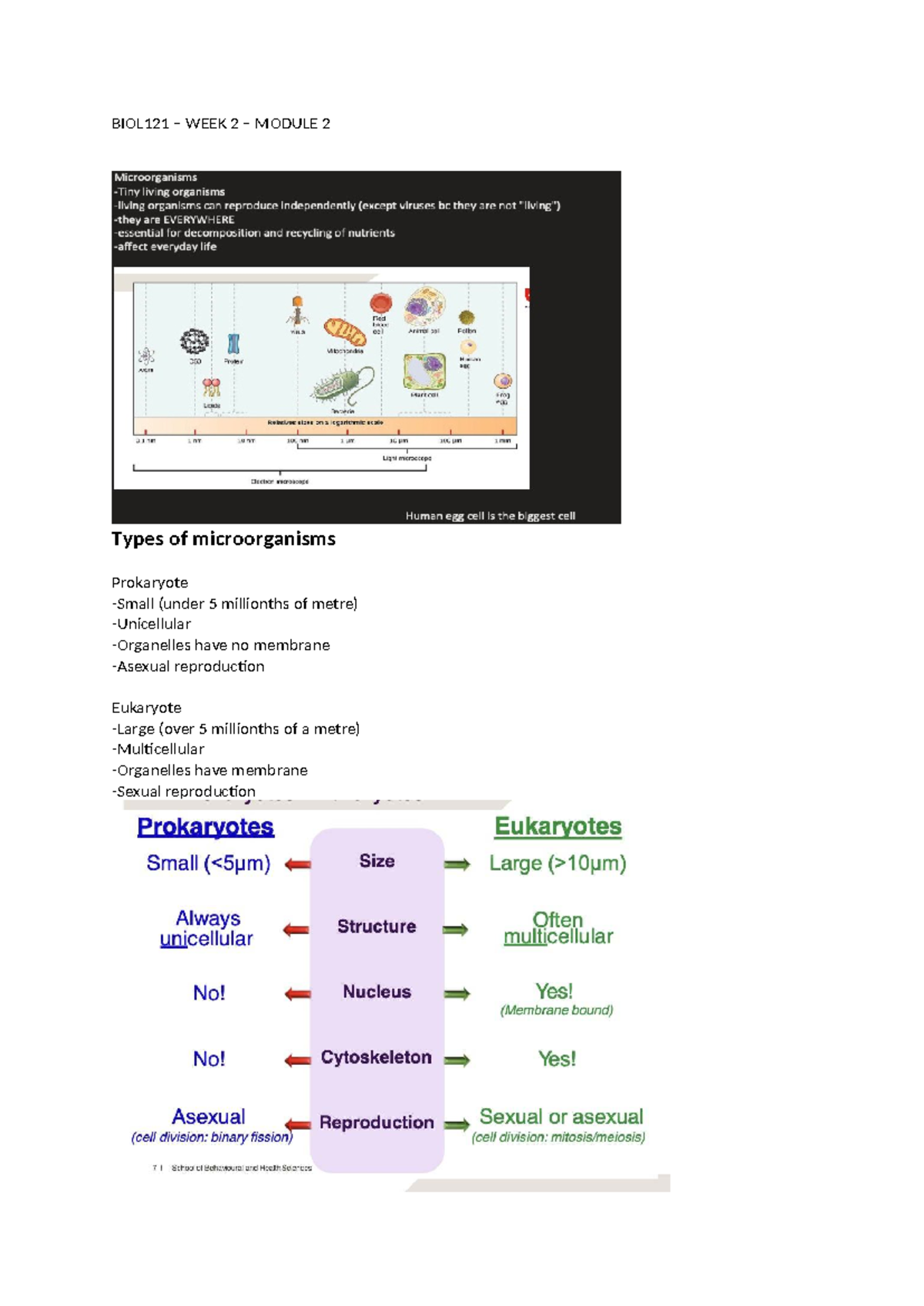 BIOL121 WEEK 2 MODULE 2: Microorganisms and Body Defenses - Studocu