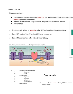 Midterm 1 Study Guide - questions - Midterm 1 Study Guide - Questions ...
