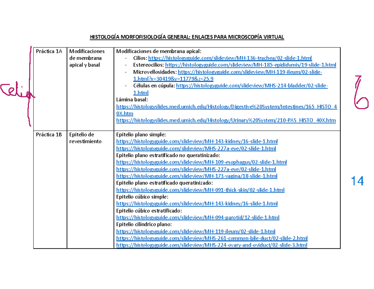 HISTOLOGÍA 101: ENLACES PARA MICROSCOPÍA VIRTUAL Y TEJIDOS - Studocu