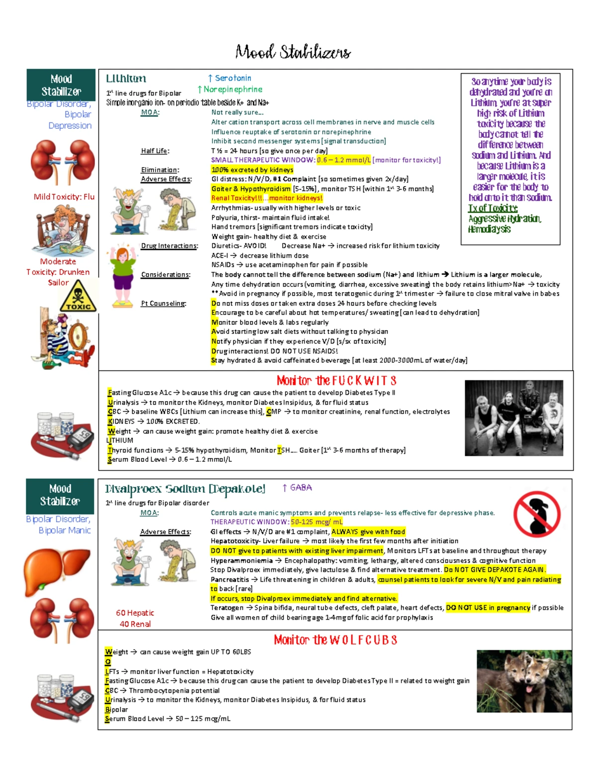 Neuroanatomy: Pituitary Gland Overview - Notes - Studocu