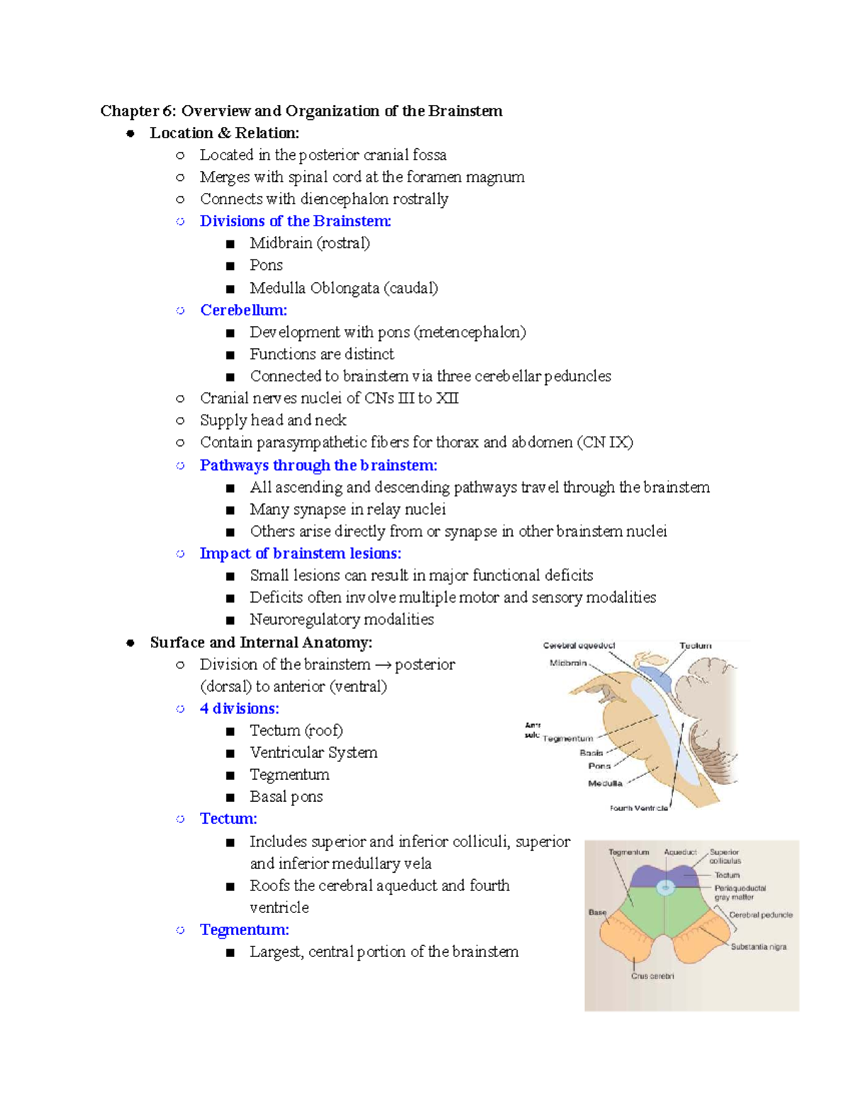 Cranial Nerves and Their Functions: An In-Depth Overview (NEURO 6 ...