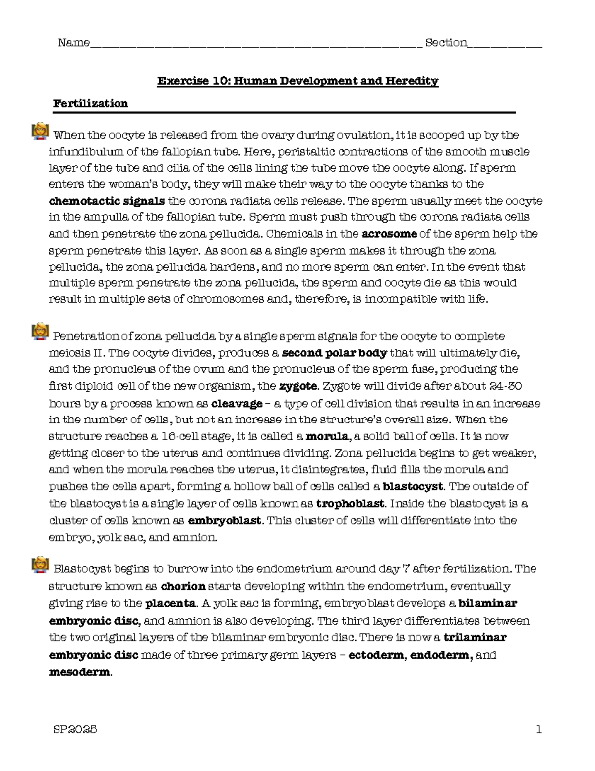 Exercise 10: Human Development & Heredity Overview SP2025 - Studocu