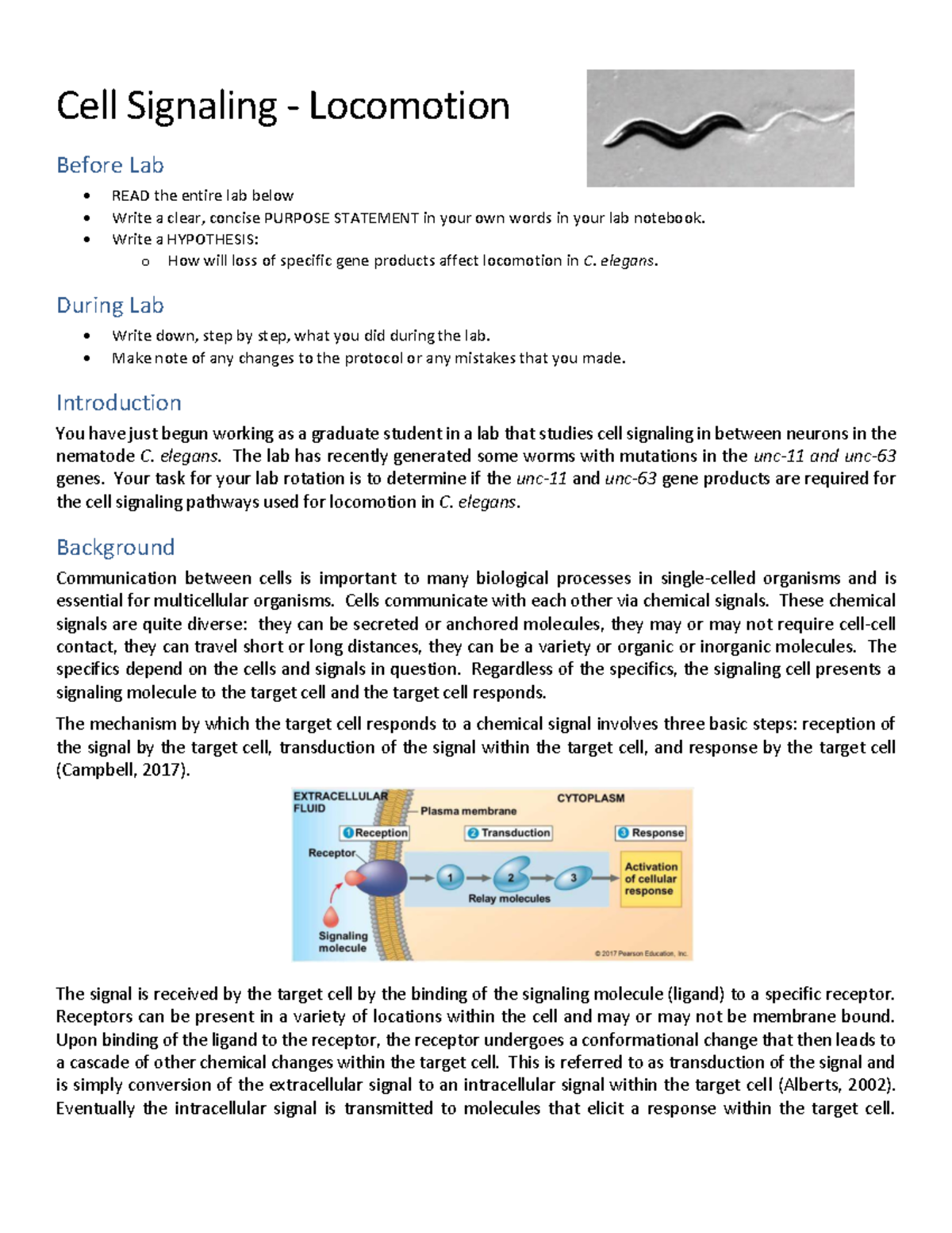 Lab on Cell Signaling and Locomotion in C. elegans - Studocu