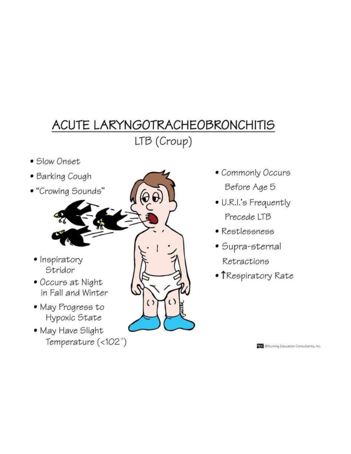 Screenshot 2025-01-01 at 10.04.01 AM - ACUTE LARYNGOTRACHEOBRONCHITIS ...