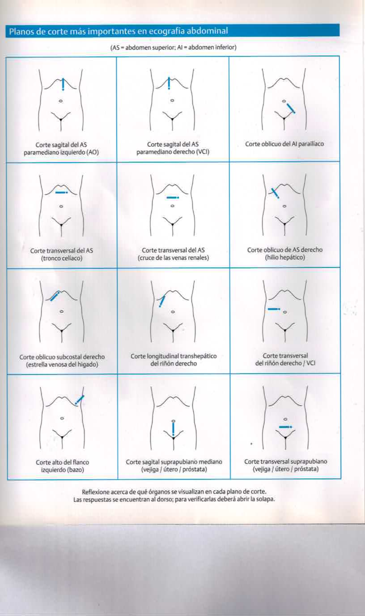 Planos de Corte en Ecografía Abdominal (AS) y su Importancia - Document Preview