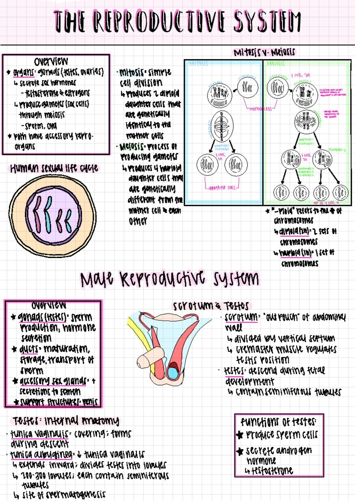 Untitled Notebook - reproduction and development notes for bisc 207 at ...