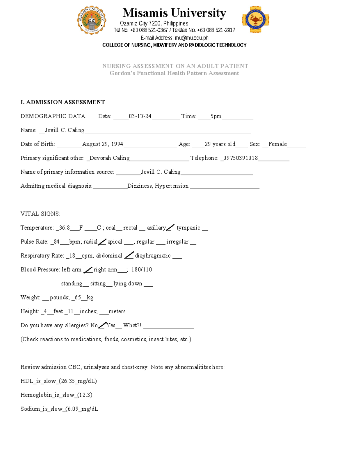 Nursing-Assessment Gordons-Functional-Health-Patterns-Adult - Misamis ...