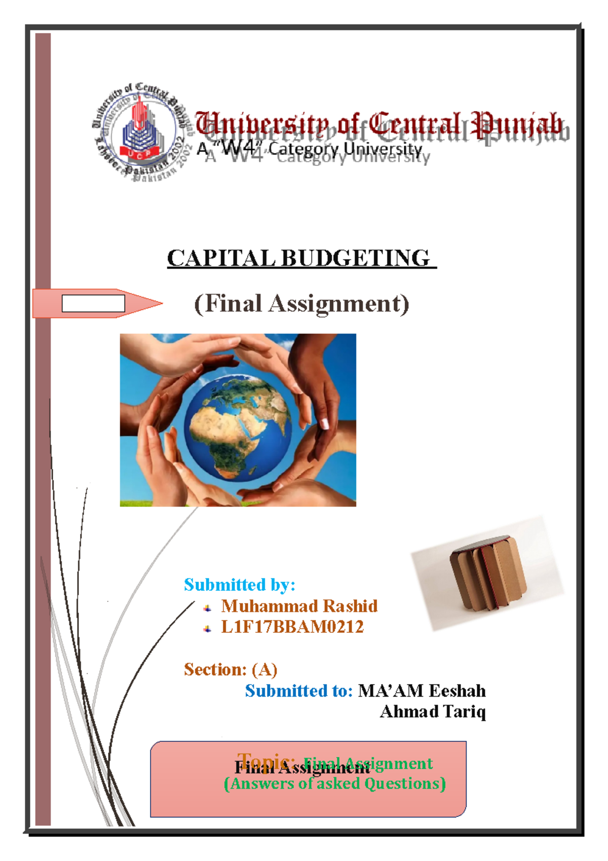 Capital Budgeting L1F17BBAM Final Assignment Insights and Analysis ...