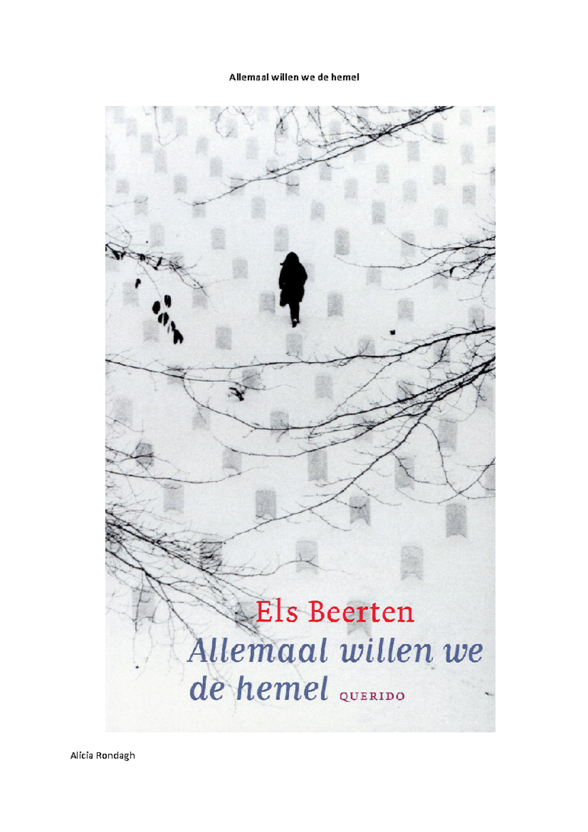 Allemaal Willen We De Hemel: Analyse En Reflectie (BSN101) - Studeersnel