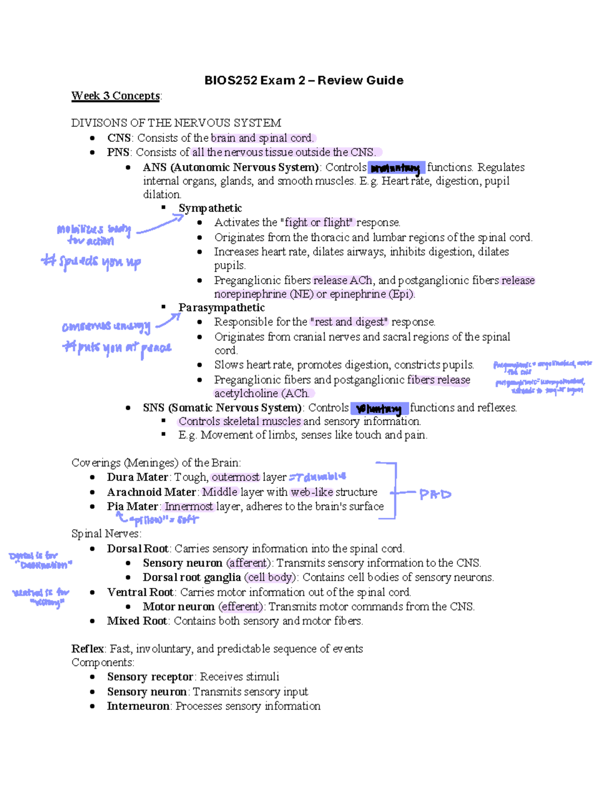 BIOS252 Exam 2 Review: Nervous System Concepts and Structures - Studocu