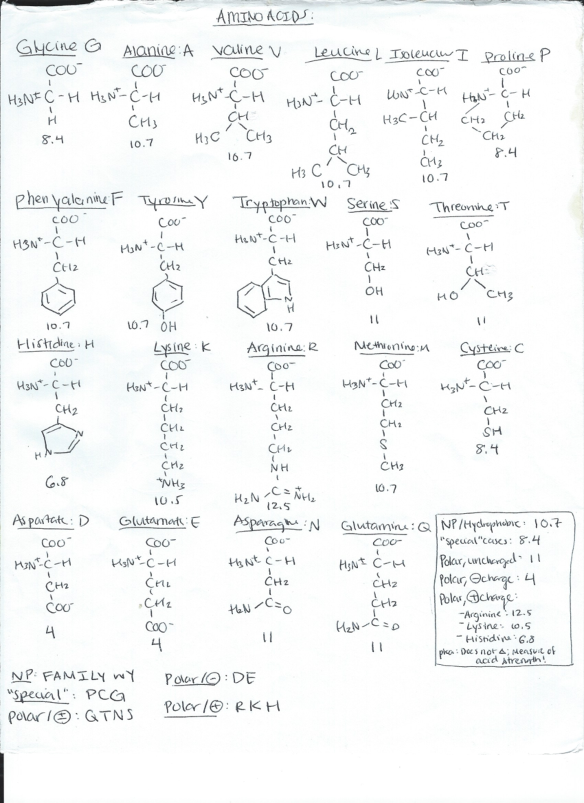 Biochemnotes Part 1: Comprehensive Study for Final Exam (BIOC 101 ...