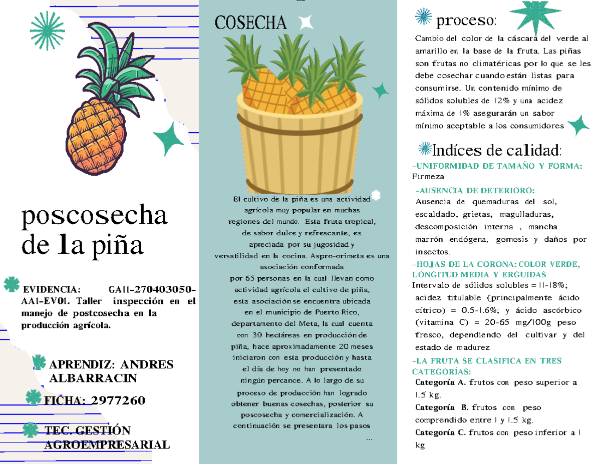 Taller de Inspección de Poscosecha en Producción de Piña GA11 - Studocu