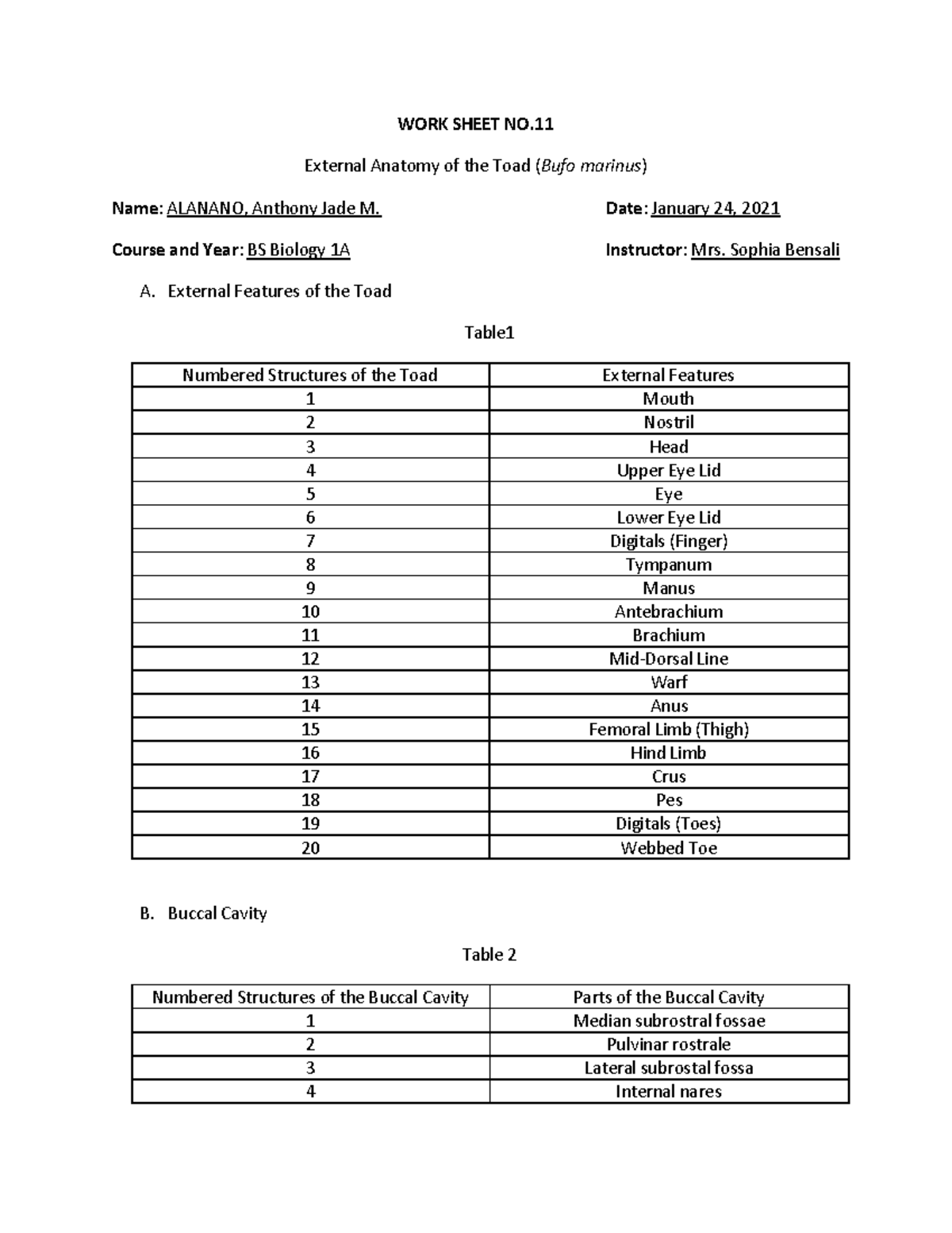 Lab Activity - Worksheet 11: Toad Anatomy & Structures Overview - Studocu