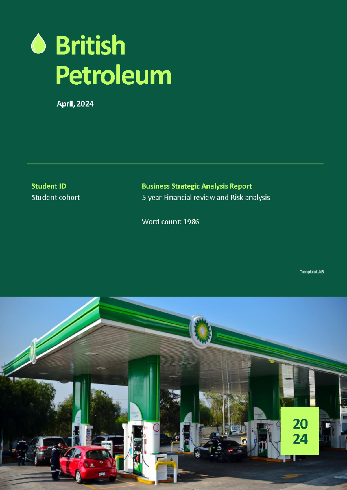 Strategic Financial Analysis Report of British Petroleum (BP) - 2024 ...